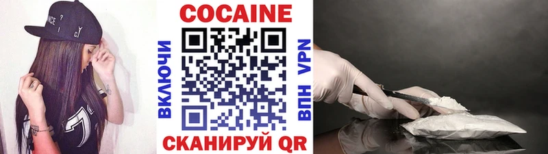 где можно купить   Беломорск  Кокаин Fish Scale 